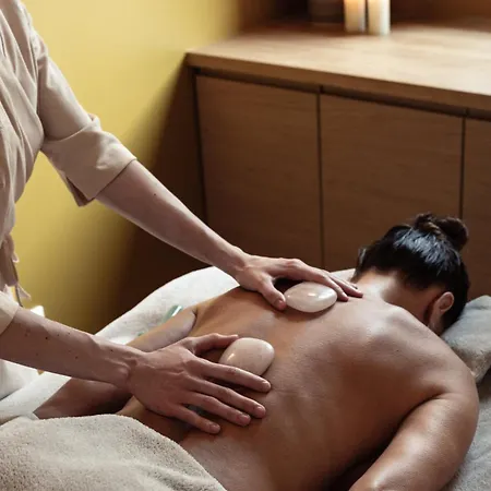 Voco , Cite Des Vins By Ihg Hotel 4*