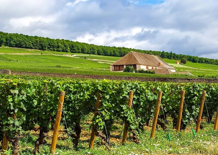 מלון Voco , Cite Des Vins By Ihg ביון